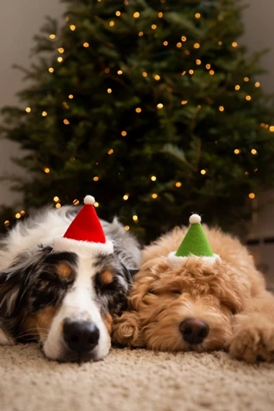 MODERNBEAST Holiday Elf Hat