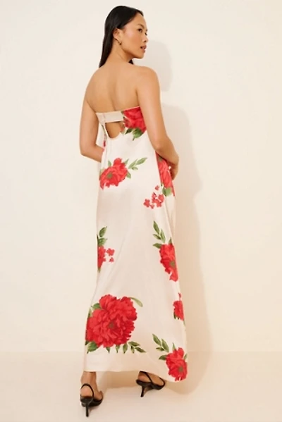 Free People Botanical Maxi Dress | Pacific City