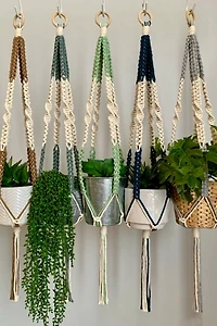 I Would Rather Knot Macrame Plant Hanger