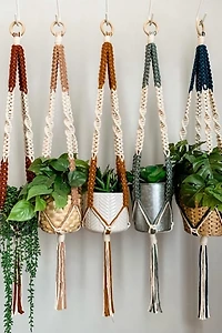 I Would Rather Knot Macrame Plant Hanger