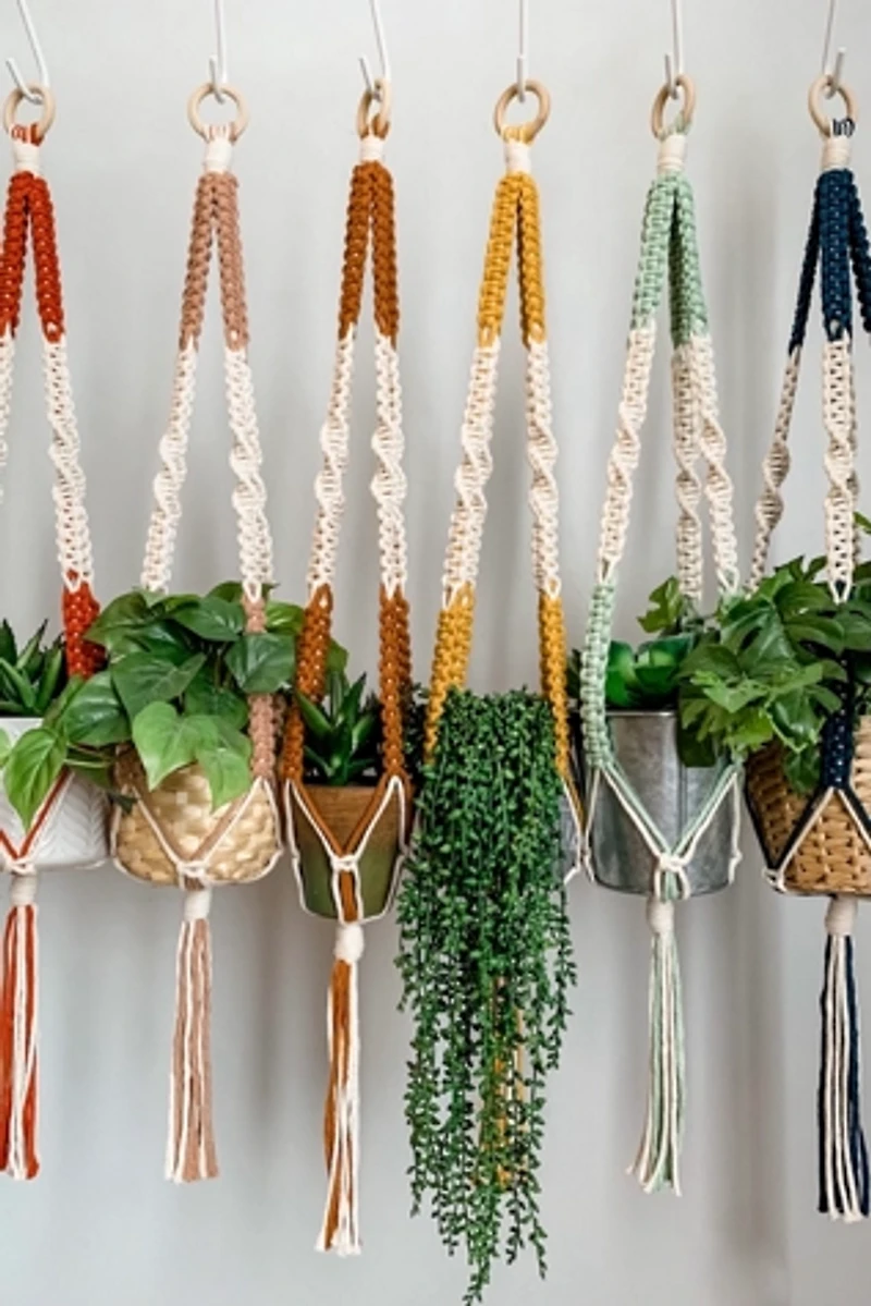 I Would Rather Knot Macrame Plant Hanger