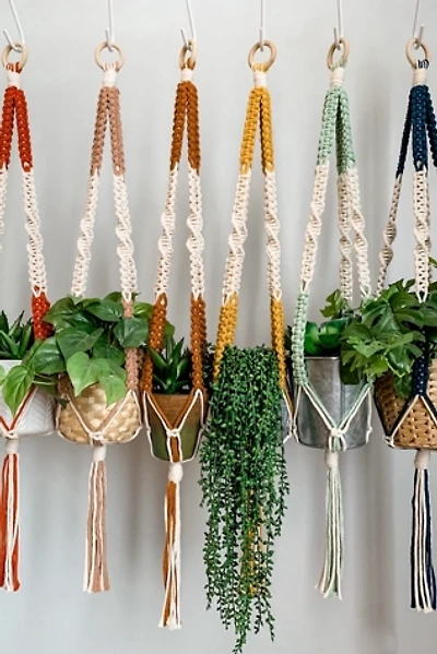 I Would Rather Knot Macrame Plant Hanger