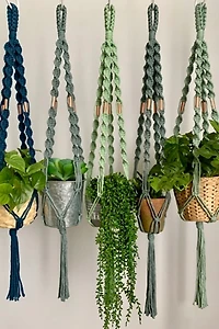 I Would Rather Knot Macrame Plant Hanger With a Twist
