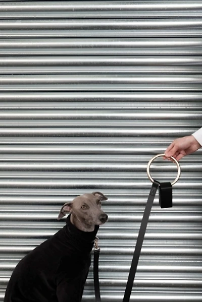 Boo Oh Lumi Leash