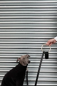 Boo Oh Lumi Leash