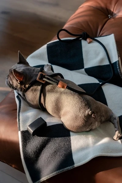 Boo Oh Ray Harness
