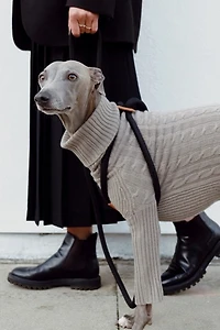 Boo Oh Ray Harness
