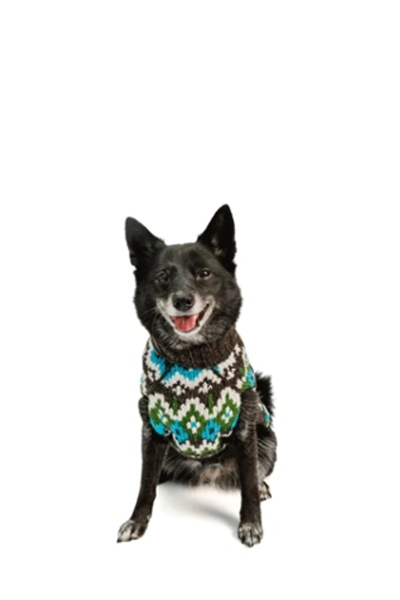 Chilly Dog Fairisle Sweater