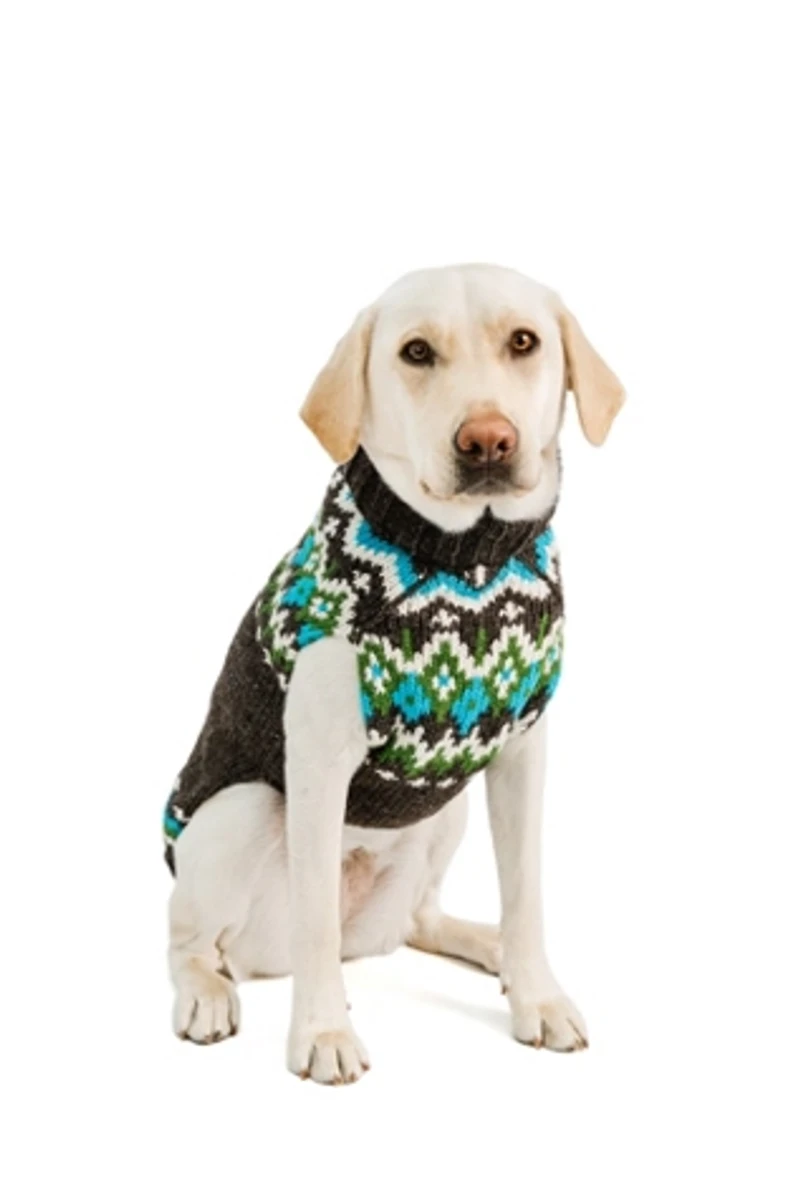 Chilly Dog Fairisle Sweater