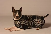 Chilly Dog Plaid Blanket Coat