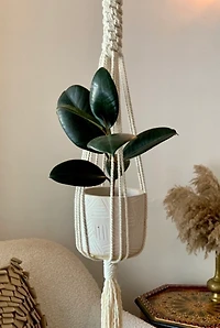 Macramé by Monday Minimalist Plant Hanger