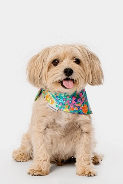 MODERNBEAST Meadow Pet Bandana
