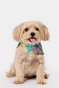 MODERNBEAST Meadow Pet Bandana