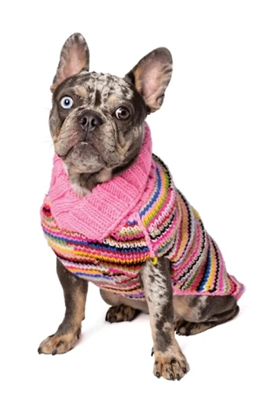 Chilly Dog Multi Sweater