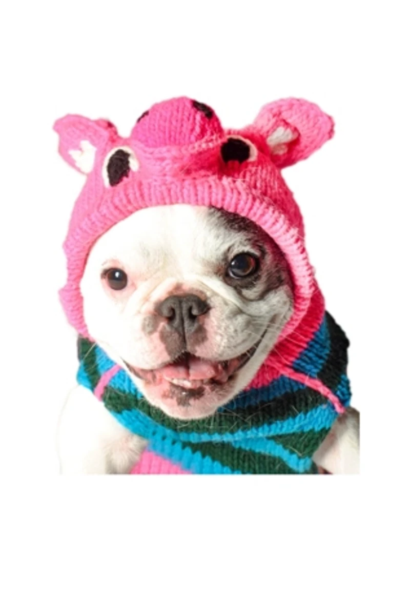 XL Chilly Dog  Piggy Sweater