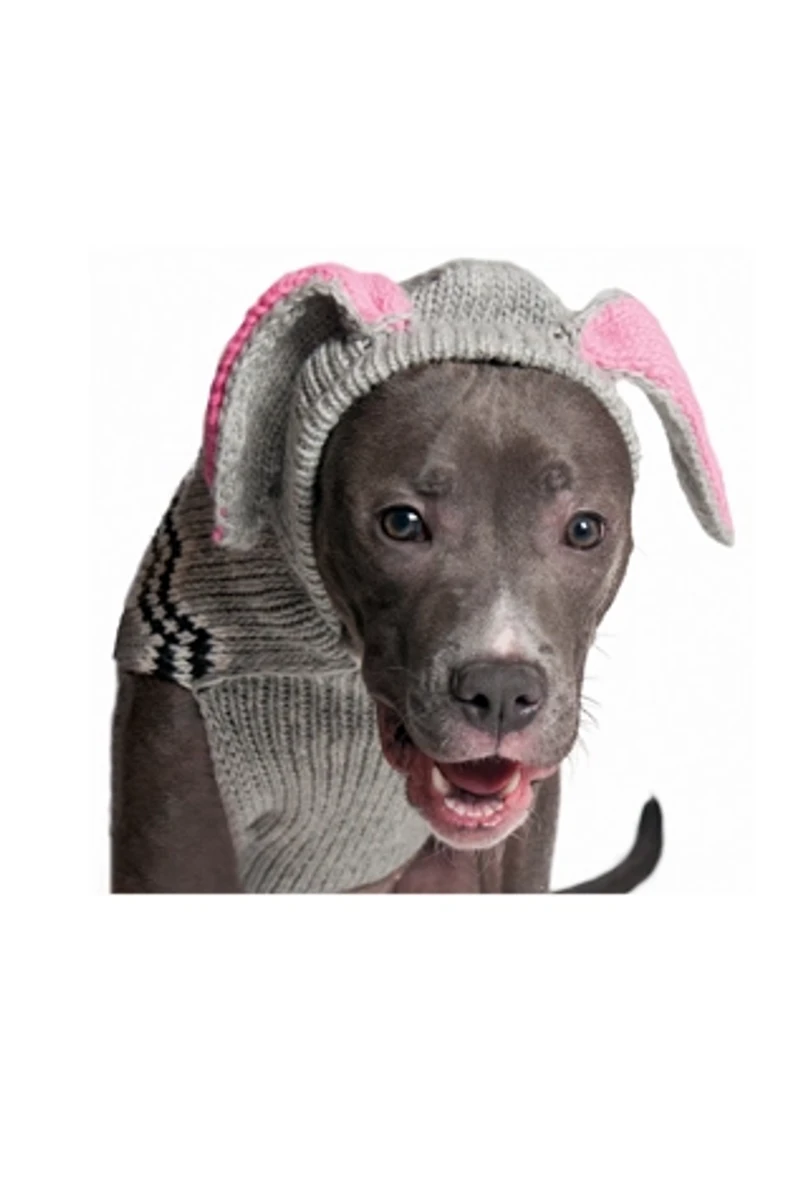 M Chilly Dog Bunny Hoodie Sweater