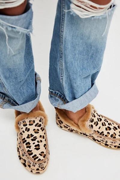 Laidback London Jude Slippers