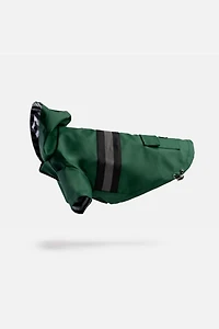 Silver Paw Aden Dog Raincoat
