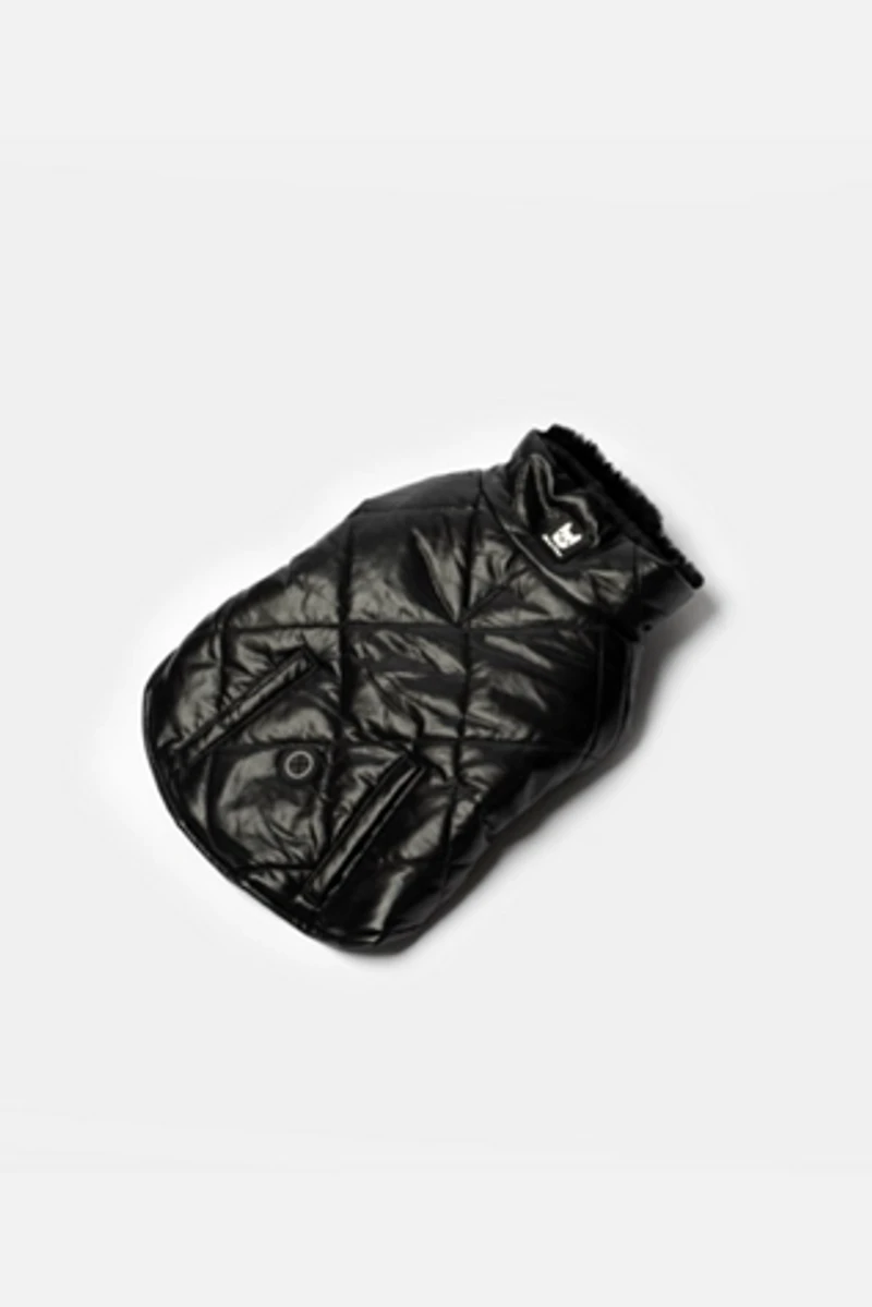 Silver Paw Phoenix Dog Jacket