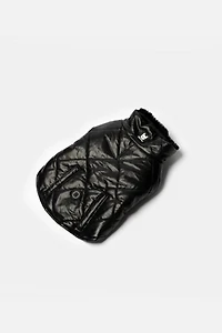 Silver Paw Phoenix Dog Jacket