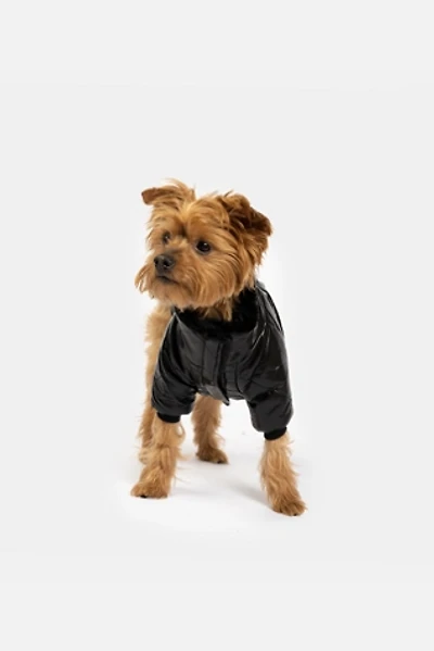 Silver Paw Phoenix Dog Jacket