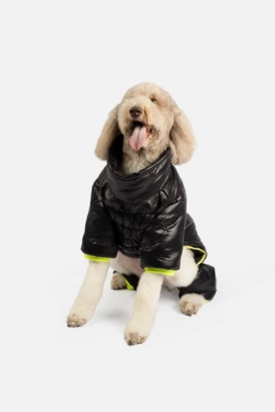 Silver Paw Whistler Full Body Dog Snowsuit