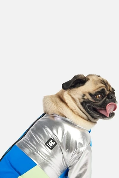 Silver Paw Ricki Dog Tracksuit