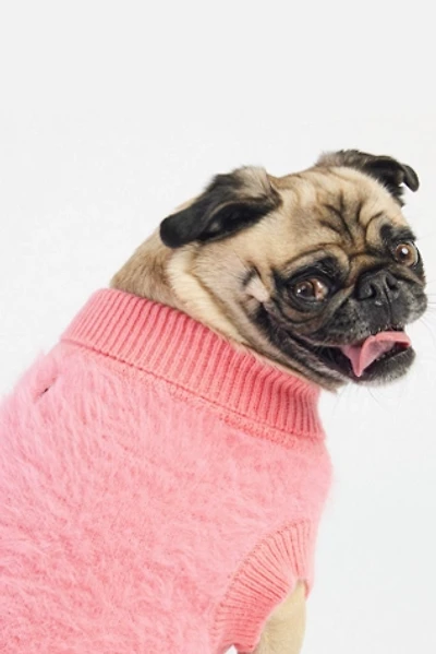 Silver Paw Fifi Dog Sweater