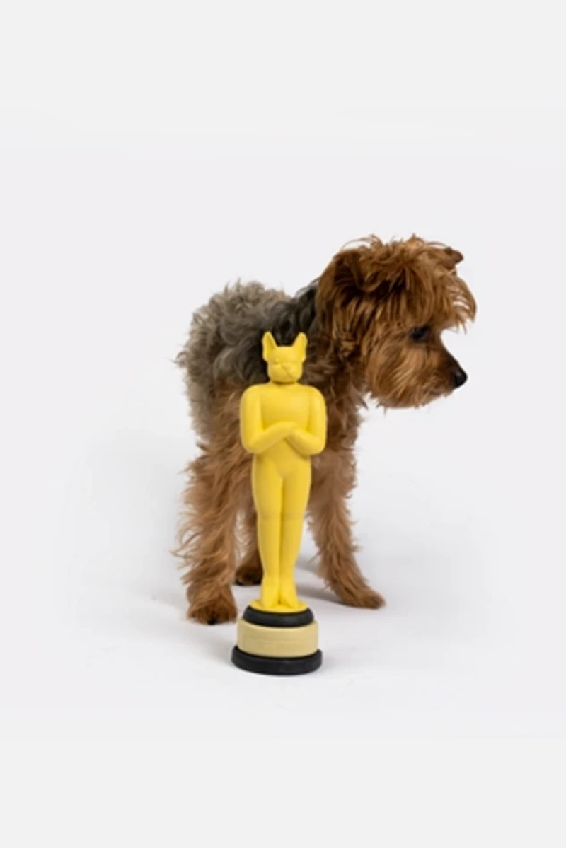 Silver Paw Award Dog Toy
