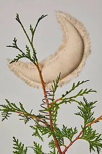 Skippy Cotton Sequin Moon Topper