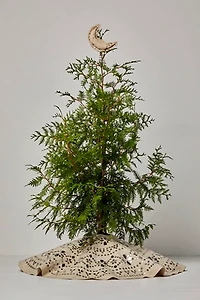 Skippy Cotton Sequin Moon Topper