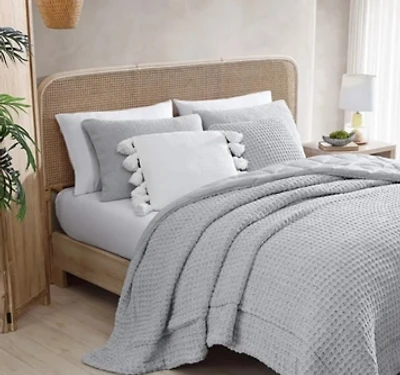 Sunday Citizen Snug Sham Set