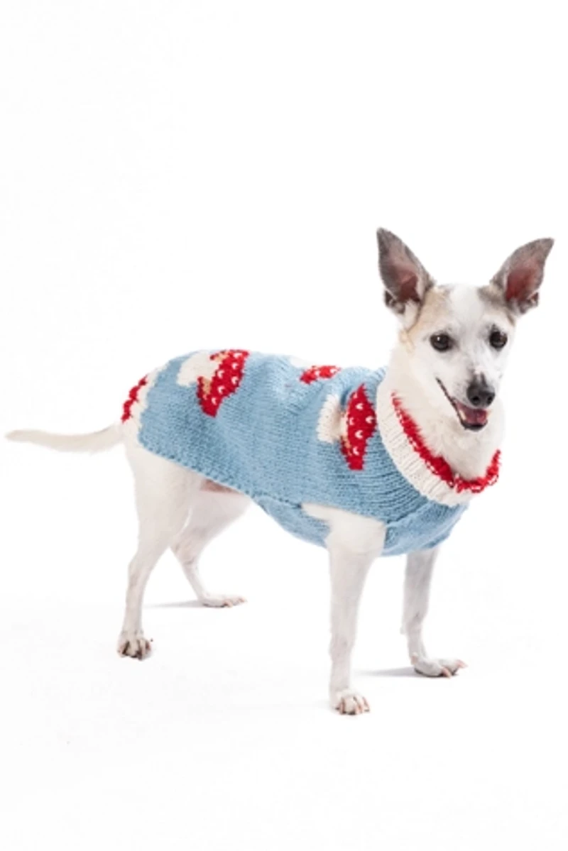 XXL Chilly Dog Mushroom Sweater