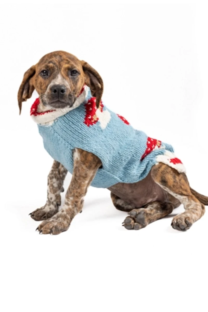 XXL Chilly Dog Mushroom Sweater