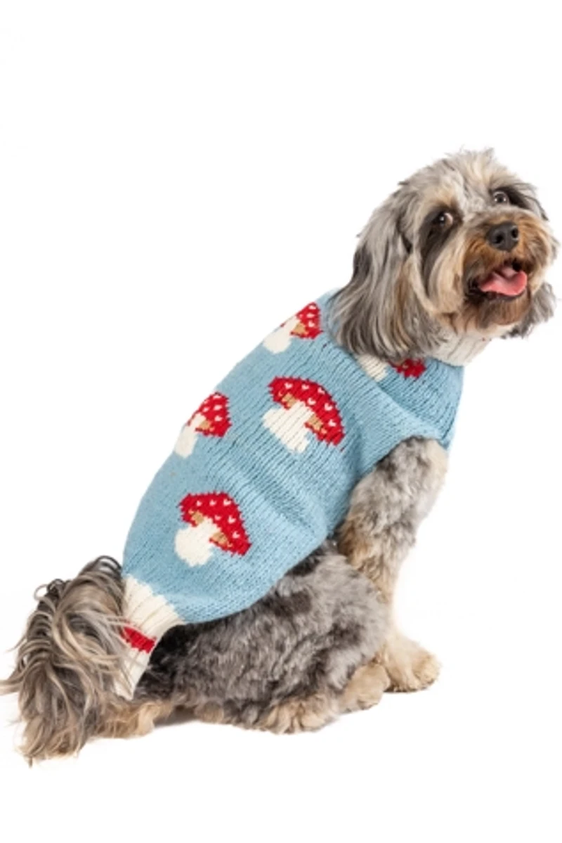 XXL Chilly Dog Mushroom Sweater