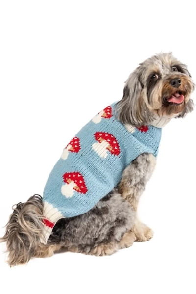 XXL Chilly Dog Mushroom Sweater