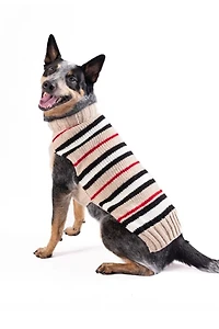 XXXL Chilly Dog Bentley Stripe Sweater