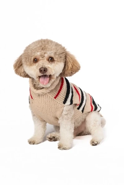XXXL Chilly Dog Bentley Stripe Sweater