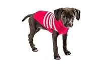 S Chilly Dog Katie Stripe Sweater