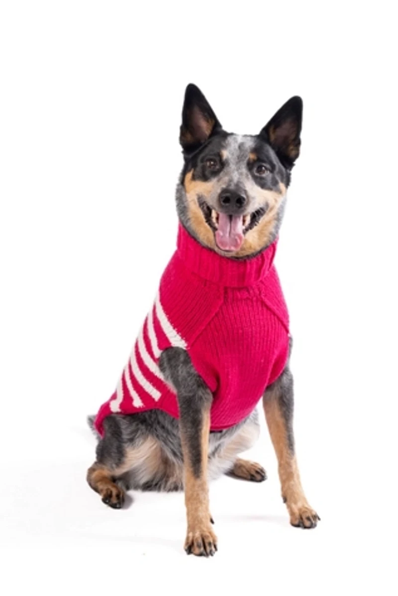 S Chilly Dog Katie Stripe Sweater