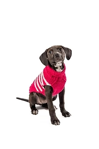 S Chilly Dog Katie Stripe Sweater