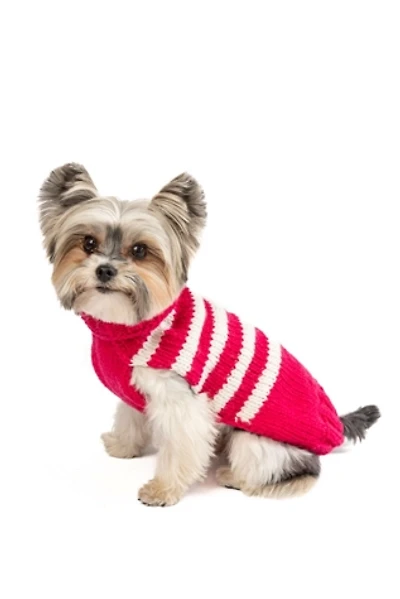 S Chilly Dog Katie Stripe Sweater