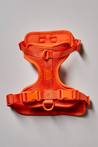 Wild One Pet Harness
