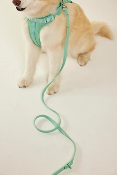 Wild One Standard Pet Leash