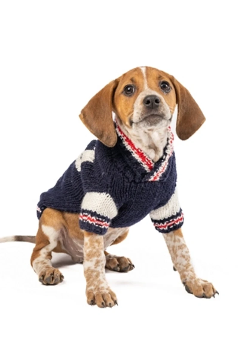 XSChilly Dog Varsity  Sweater