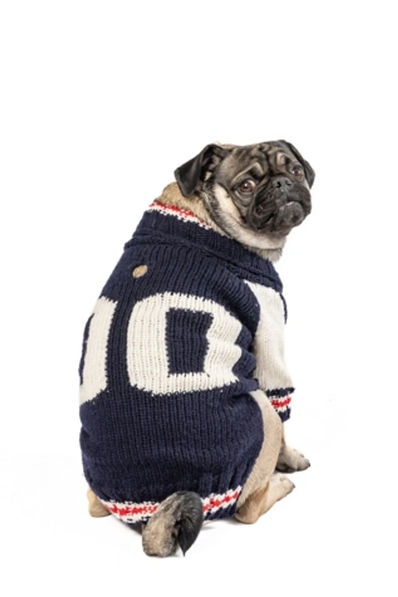 XSChilly Dog Varsity  Sweater