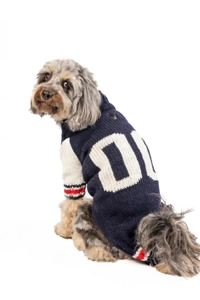 XSChilly Dog Varsity  Sweater