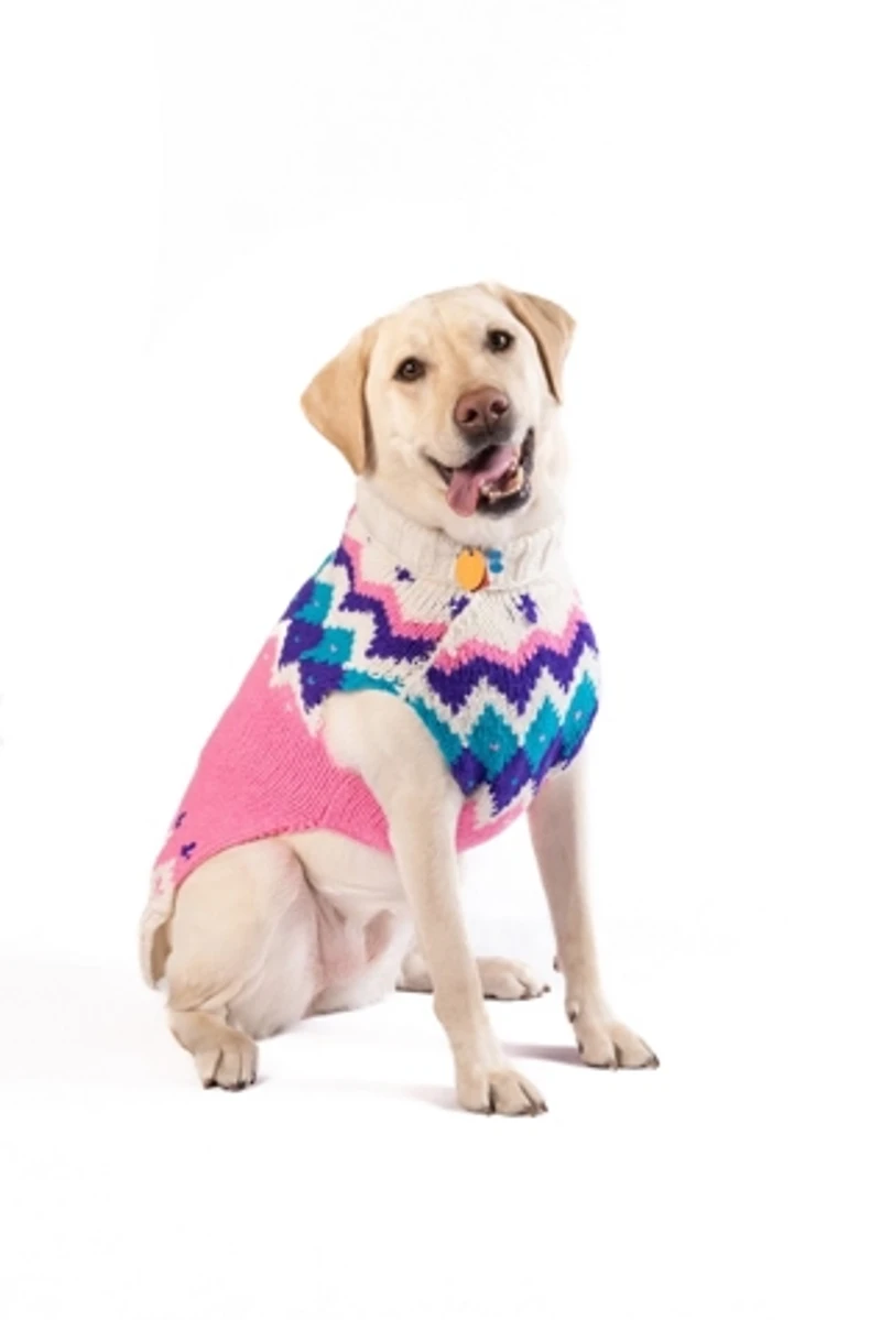 Chilly Dog Ski Bum Fairisle Sweater