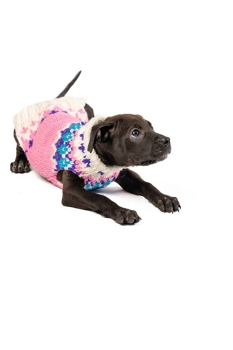 Chilly Dog Ski Bum Fairisle Sweater