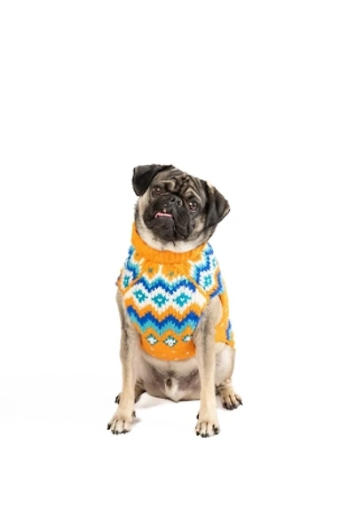 S Chilly Dog Artic Amber Fairisle Sweater